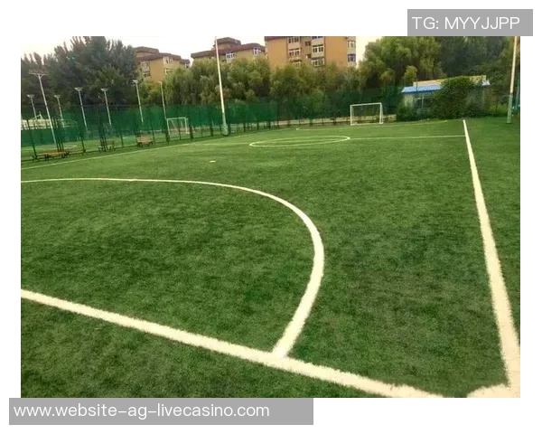 全面解析足球场上各个位置的职责与特点助你更好理解这项运动