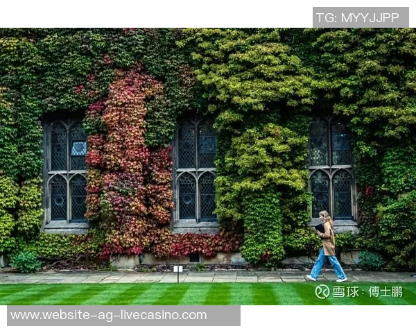 比利时足球的崛起与辉煌历程探讨及未来展望