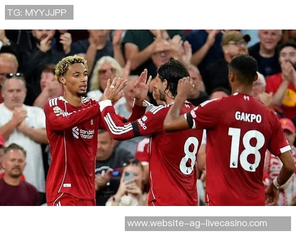 利物浦主场迎战斯旺西争夺英超积分榜关键三分之战